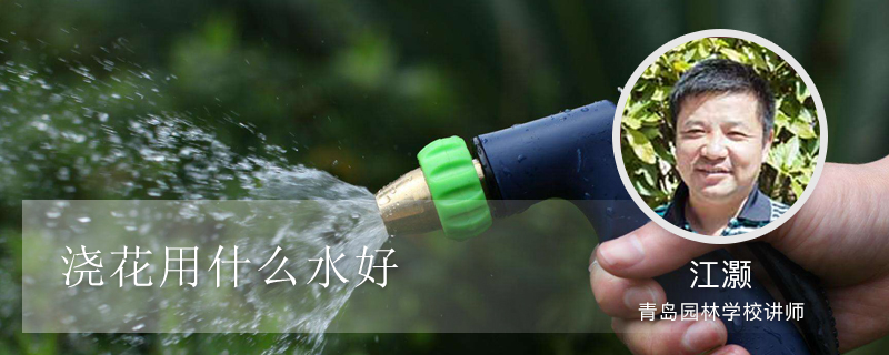 浇花用什么水好 浇花用什么水好