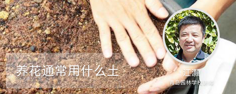 养花通常用什么土 养花通常用什么土