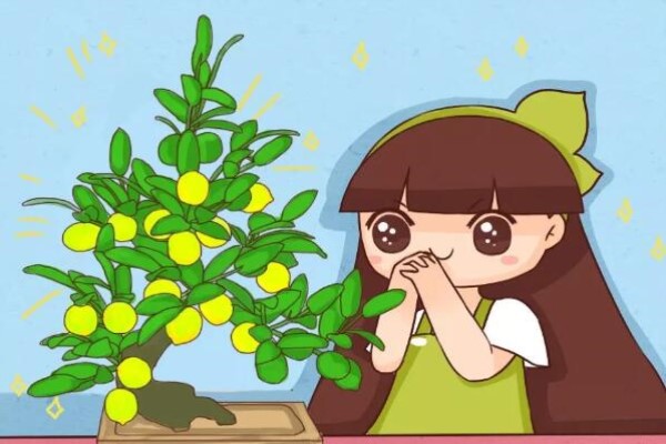 卧室养盆它,不失眠睡的香,杀菌消毒身体倍棒! 卧室养盆它,不失眠睡的香,杀菌消毒身体倍棒!
