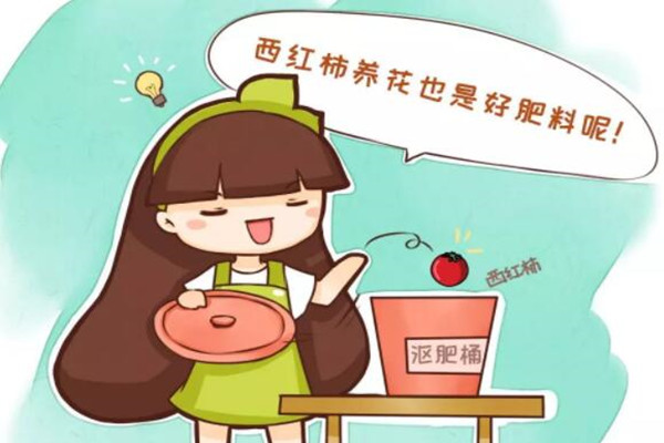 1碗蛋壳1斤西红柿,土立马肥得流油,花蹭蹭爆开200朵! 1碗蛋壳1斤西红柿,土立马肥得流油,花蹭蹭爆开200朵!