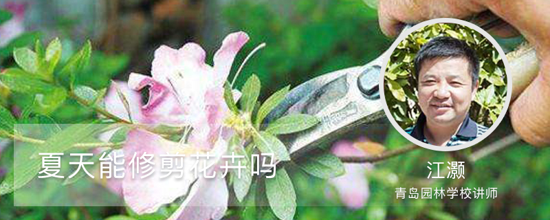 夏天能修剪花卉吗 夏天能修剪花卉吗