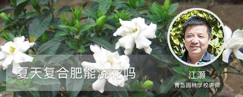 夏天复合肥能浇花吗 夏天复合肥能浇花吗