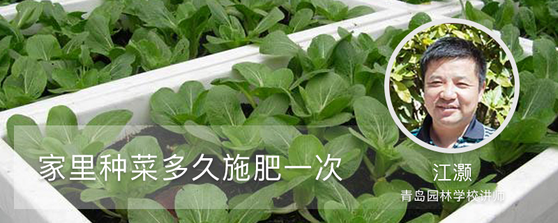 家里种菜多久施肥一次 家里种菜多久施肥一次