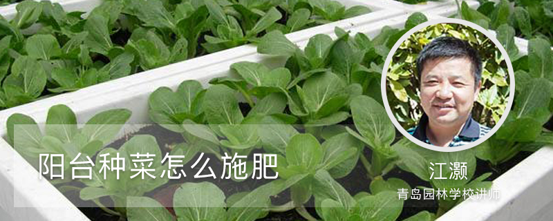 阳台种菜怎么施肥 阳台种菜怎么施肥