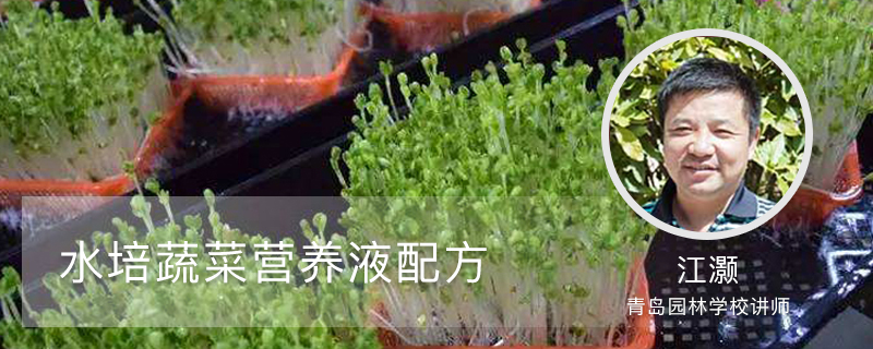 水培蔬菜营养液配方 水培蔬菜营养液配方