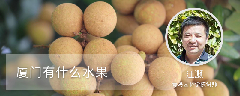 厦门有什么水果 厦门有什么水果