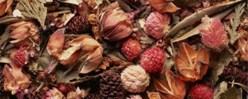 干花制作 干花制作