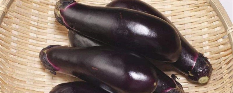 茄子育苗时间及方法 茄子育苗时间及方法
