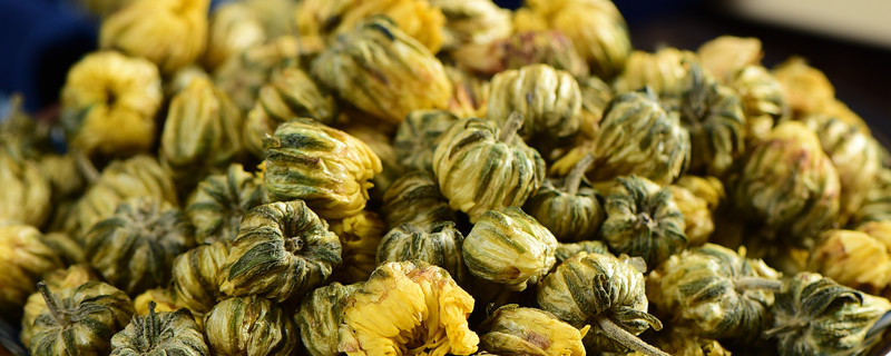 胎菊和枸杞泡茶的功效,正确喝法 胎菊和枸杞泡茶的功效,正确喝法