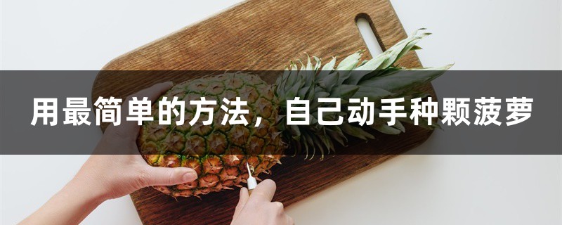 用最简单的方法,自己动手种颗菠萝 用最简单的方法,自己动手种颗菠萝