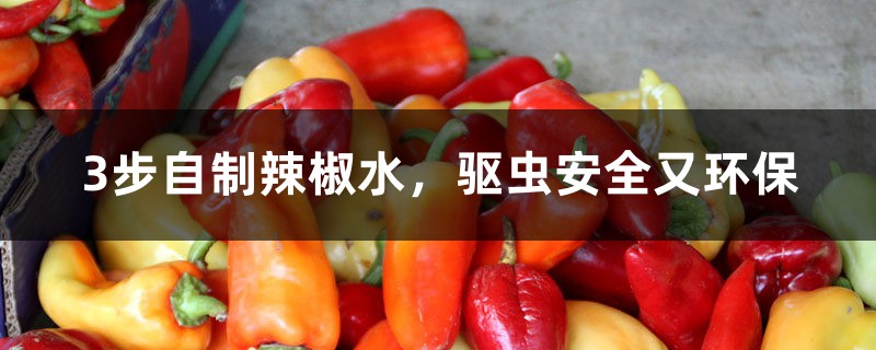 3步自制辣椒水,驱虫安全又环保 3步自制辣椒水,驱虫安全又环保