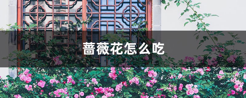 蔷薇花怎么吃 蔷薇花怎么吃