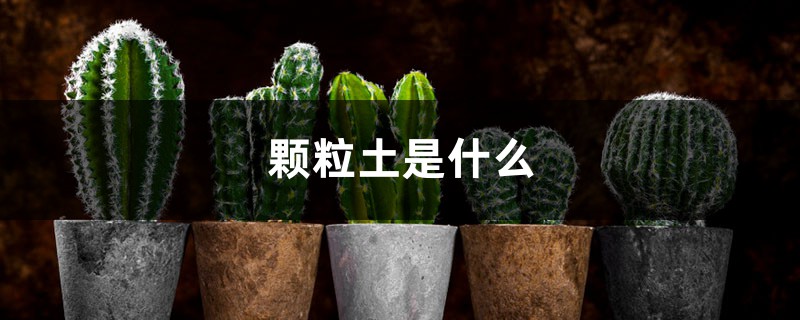 颗粒土是什么 颗粒土是什么