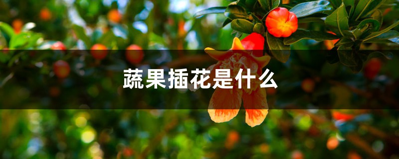 蔬果插花是什么 蔬果插花是什么