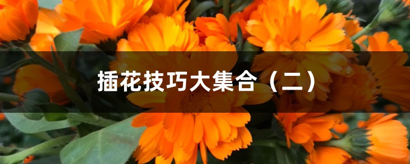 插花技巧大集合(二) 插花技巧大集合(二)