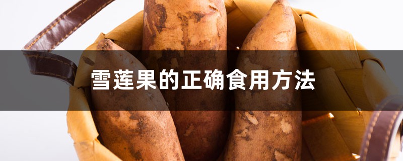 雪莲果的正确食用方法 雪莲果的正确食用方法