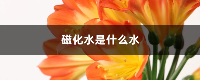 磁化水是什么水 磁化水是什么水
