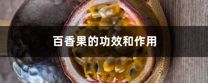 百香果的功效和作用 百香果的功效和作用