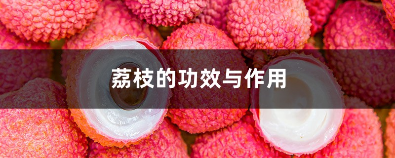 荔枝的功效与作用 荔枝的功效与作用