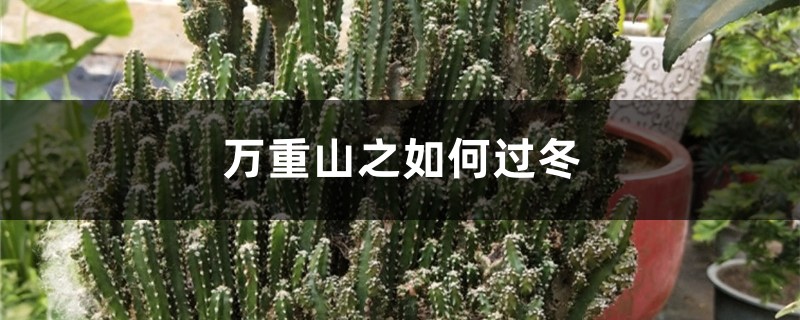 万重山之如何过冬 万重山之如何过冬