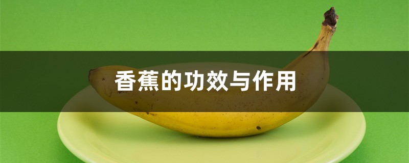 香蕉的功效与作用 香蕉的功效与作用