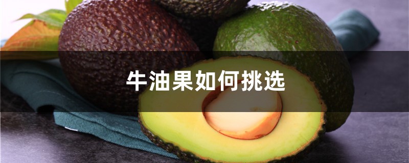 牛油果如何挑选 牛油果如何挑选