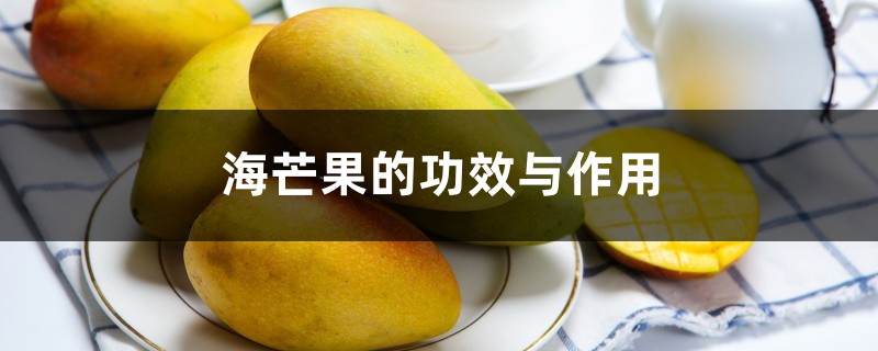 海芒果的功效与作用 海芒果的功效与作用