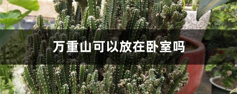万重山可以放在卧室吗 万重山可以放在卧室吗