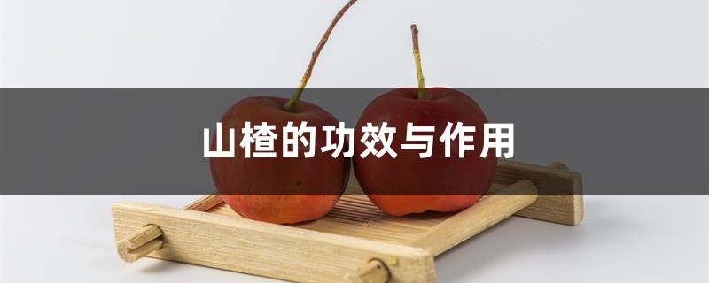山楂的功效与作用 山楂的功效与作用
