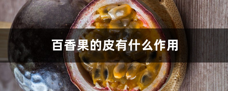百香果的皮有什么作用 百香果的皮有什么作用