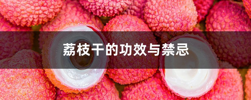 荔枝干的功效与禁忌 荔枝干的功效与禁忌