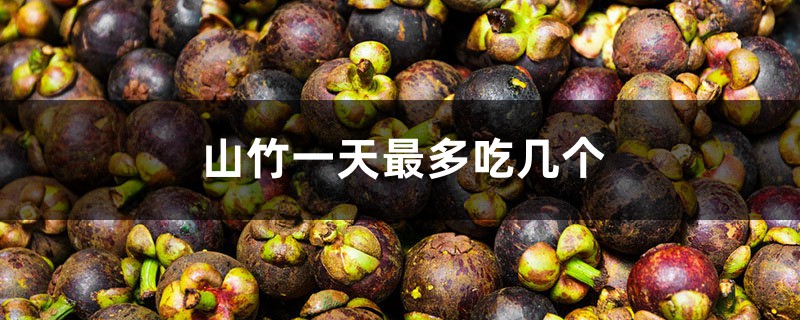 山竹一天最多吃几个 山竹一天最多吃几个