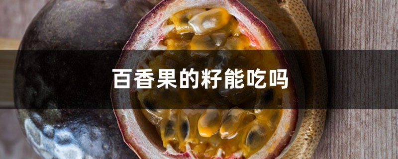 百香果的籽能吃吗 百香果的籽能吃吗