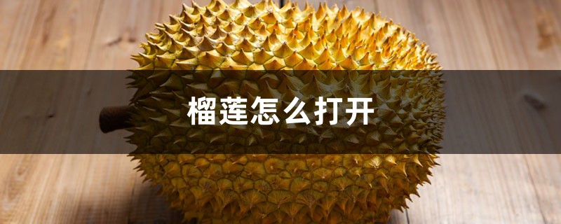 榴莲怎么打开 榴莲怎么打开