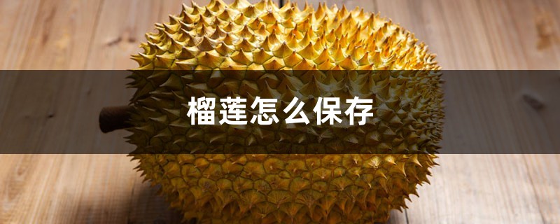 榴莲怎么保存 榴莲怎么保存