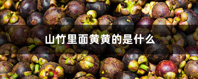 山竹里面黄黄的是什么 山竹里面黄黄的是什么