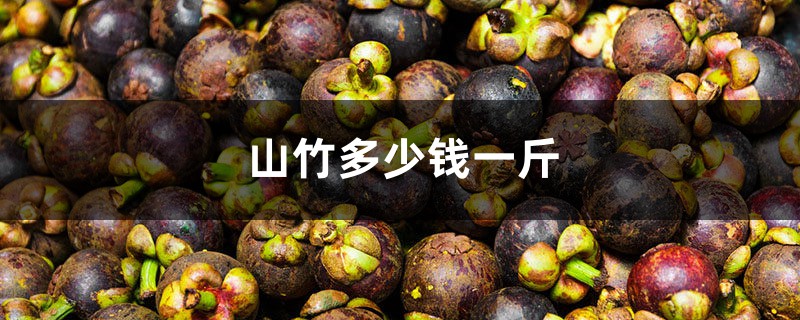 山竹多少钱一斤 山竹多少钱一斤