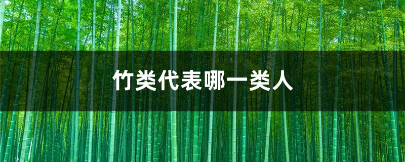 竹类代表哪一类人 竹类代表哪一类人