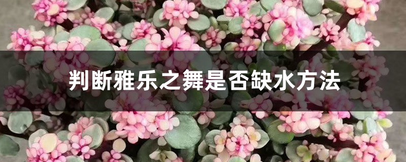 判断雅乐之舞是否缺水方法 判断雅乐之舞是否缺水方法