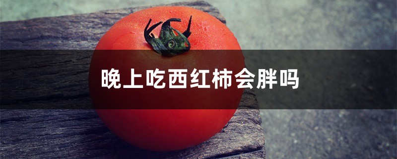 西红柿含糖高吗,晚上吃西红柿会胖吗 西红柿含糖高吗,晚上吃西红柿会胖吗