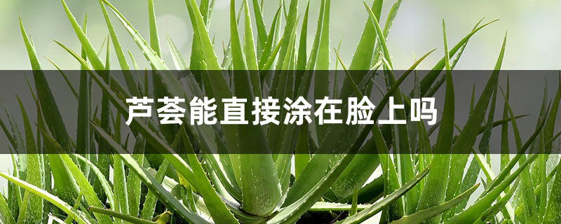 芦荟能直接涂在脸上吗,芦荟怎么敷脸 芦荟能直接涂在脸上吗,芦荟怎么敷脸