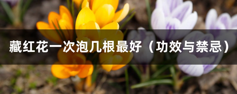 藏红花一次泡几根最好(功效与禁忌) 藏红花一次泡几根最好(功效与禁忌)