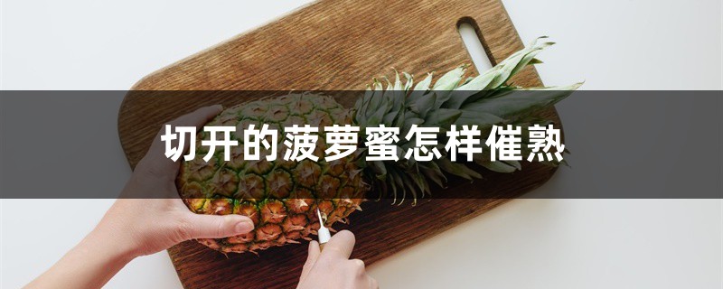 切开的菠萝蜜怎样催熟 切开的菠萝蜜怎样催熟