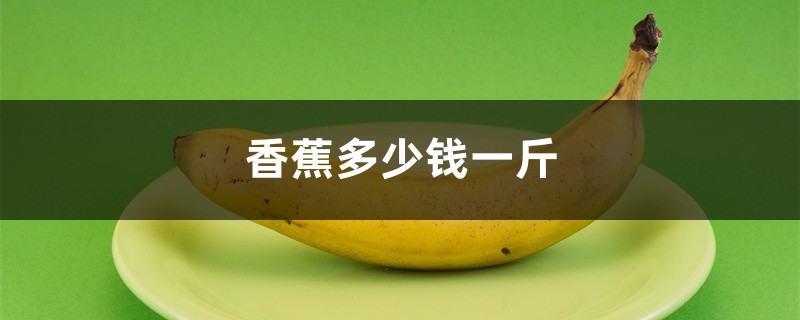 香蕉多少钱一斤,香蕉图片 香蕉多少钱一斤,香蕉图片