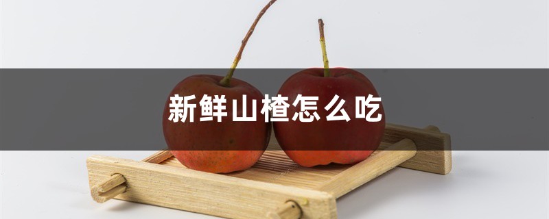 新鲜山楂怎么吃,山楂吃多了会怎么样 新鲜山楂怎么吃,山楂吃多了会怎么样