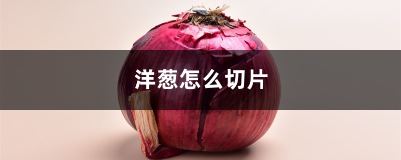洋葱怎么切片,洋葱与什么食物相克 洋葱怎么切片,洋葱与什么食物相克