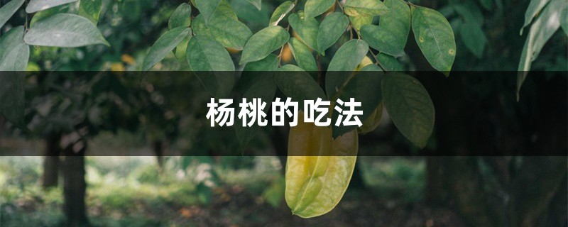 杨桃的吃法,吃杨桃的禁忌 杨桃的吃法,吃杨桃的禁忌