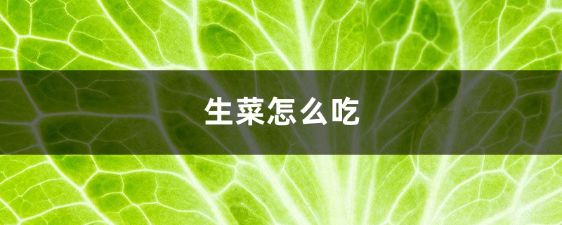 生菜怎么吃,怎么做 生菜怎么吃,怎么做