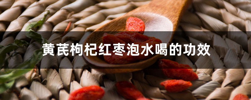 黄芪枸杞红枣泡水喝的功效和禁忌 黄芪枸杞红枣泡水喝的功效和禁忌