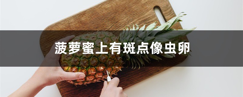 菠萝蜜上有斑点像虫卵怎么回事 菠萝蜜上有斑点像虫卵怎么回事